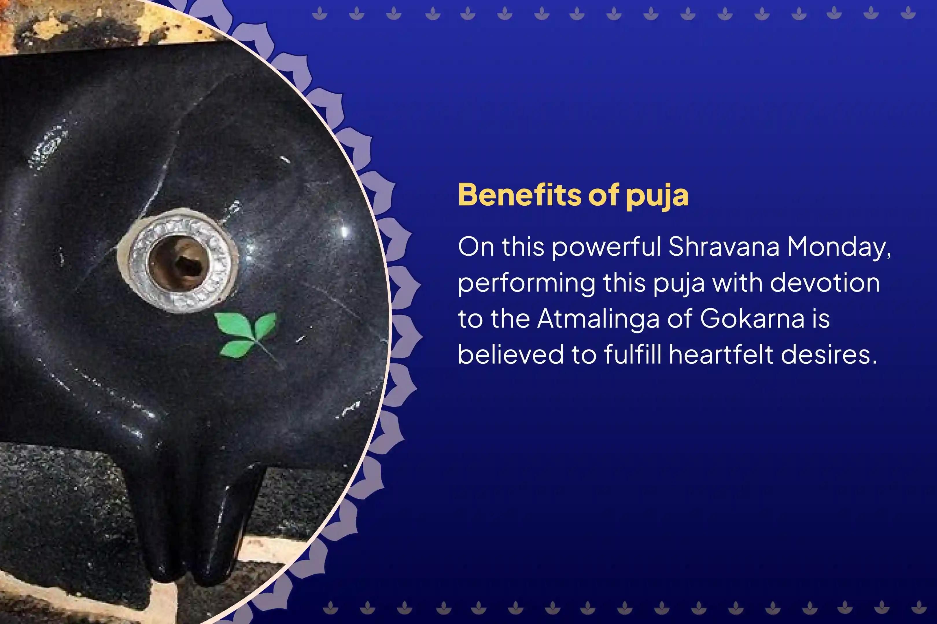 Participate in the Shravana Somvaar Gokarna Atma Lingam Kshetra Special Gokarna Special Rudrabhishek, and Rudra Homam for fulfillment of your desires in the Atma Lingam Kshetra