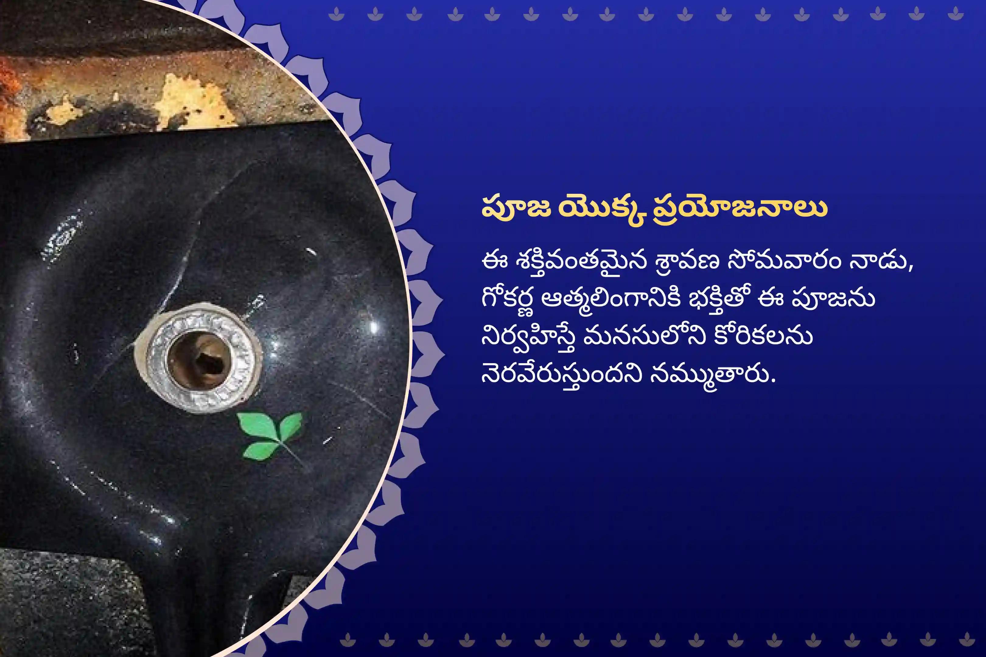 ఆత్మ లింగం క్షేత్రంలో మీ కోరికలను నెరవేర్చుకోవడానికిశ్రావణ సోమవారం గోకర్ణ ఆత్మలింగం క్షేత్ర ప్రత్యేక రుద్రాభిషేకం మరియు రుద్ర హోమంలో పాల్గొనండి.