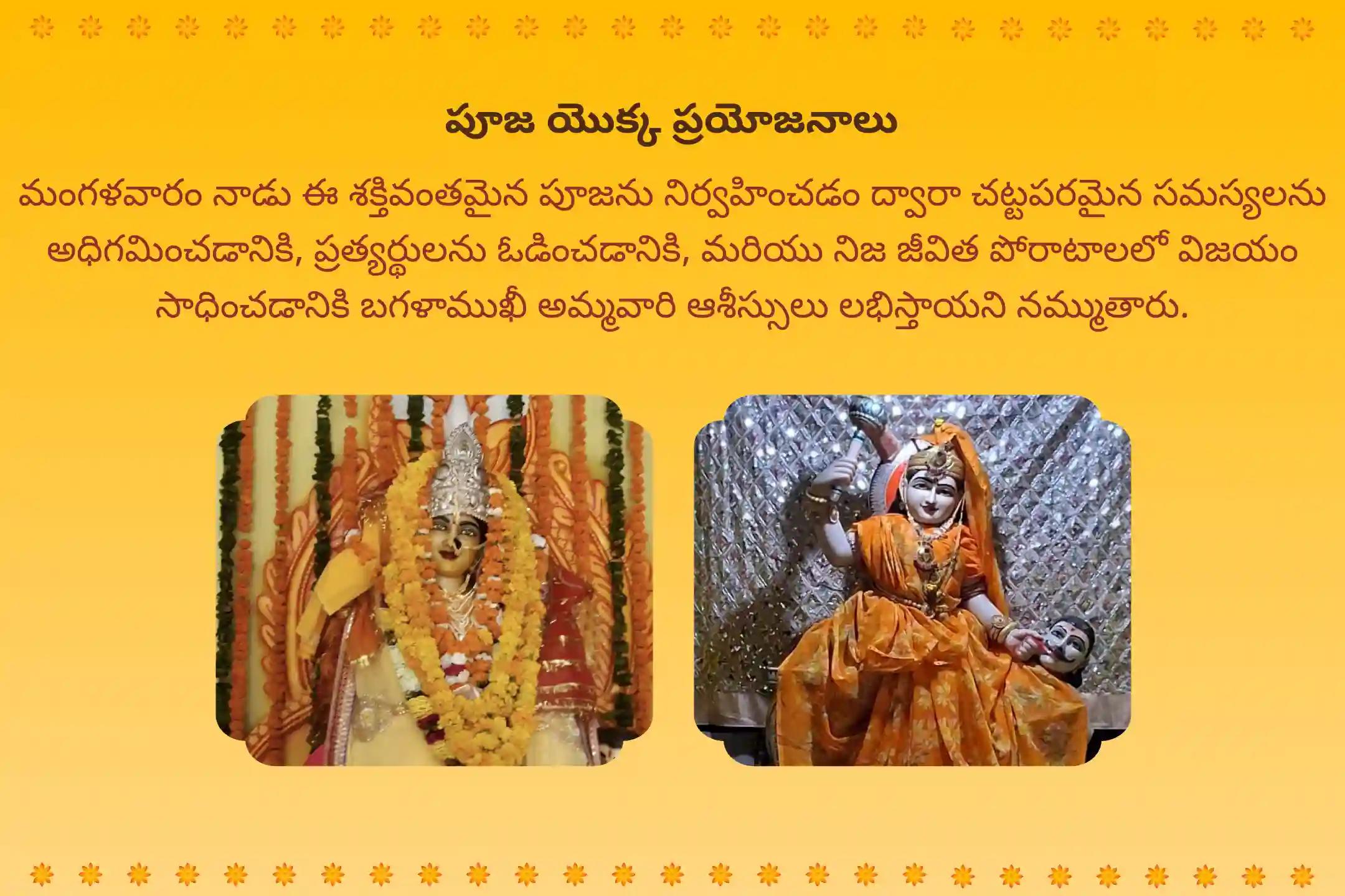 కోర్టు కేసులలో మరియు నిజ జీవిత పోరాటాలలో గెలుపుకై ఆశీస్సుల కొరకు కోర్టు కేసుల అమ్మవారి ప్రత్యేక బగళాముఖీ అమ్మవారి శత్రు సంహార హోమంలో పాల్గొనండి.