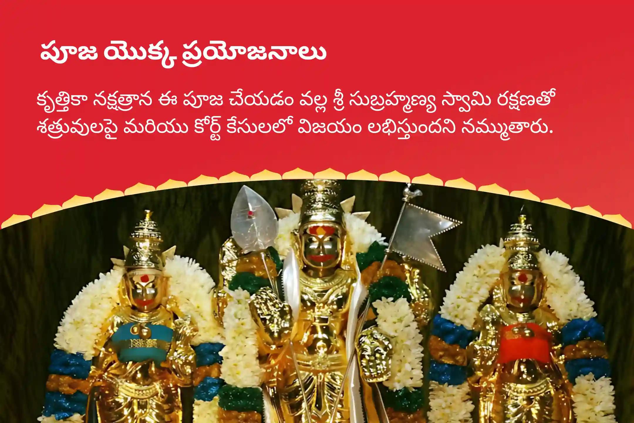 శత్రువులపై మరియు కోర్టు కేసులలో గెలవడం కోసం కృత్తికా నక్షత్ర సుబ్రమణ్య స్పెషల్ 666 షణ్ముఖ తర్పణం మరియు 36 స్కంద షష్ఠి కవచంలో పాల్గొనండి.