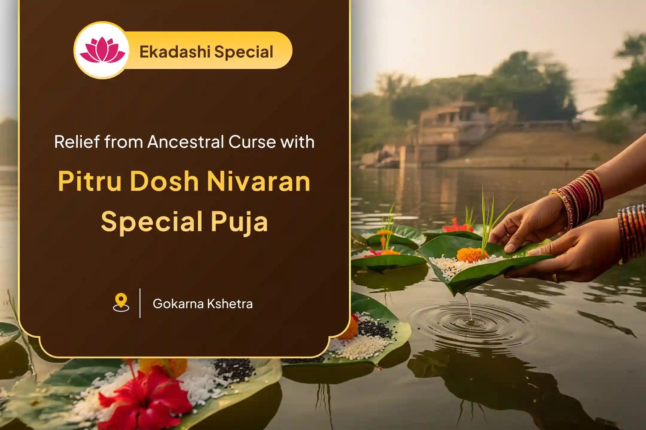 Piru Dosha Nivaran Special Puja  Narayan Bali, Naag Bali and 11,000 Pitru Adipati Vishnu Dwadakshari Mantra Jaap To Relieve Ancestral Curse and Bring Peace to Departed Souls