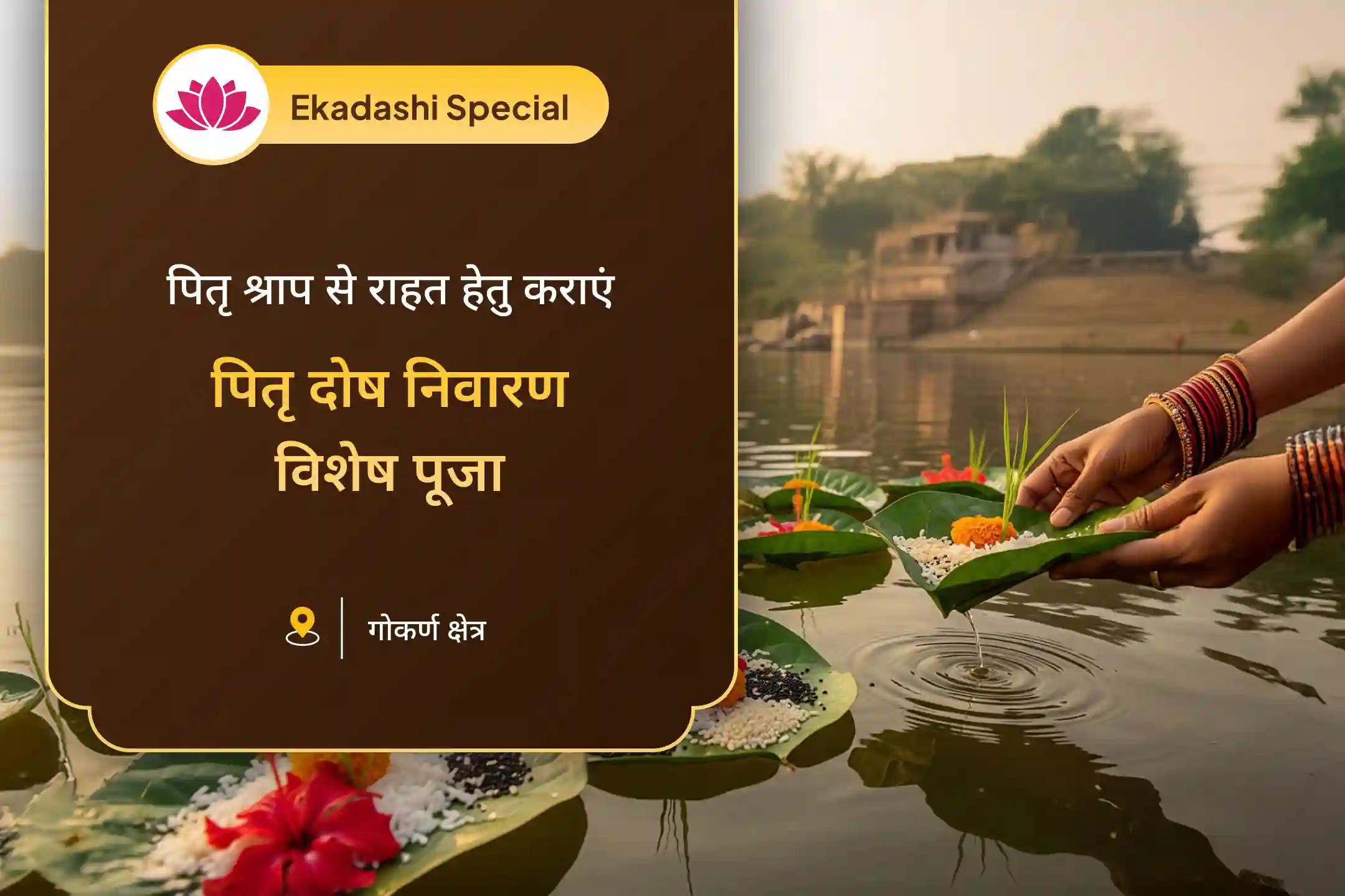 पैतृक श्राप से राहत और दिवंगत आत्माओं को शांति प्रदान करने के लिए पितृ दोष निवारण विशेष पूजा नारायण बलि, नाग बलि और 11,000 पितृ आदिपति विष्णु द्वादक्षरी मंत्र जाप