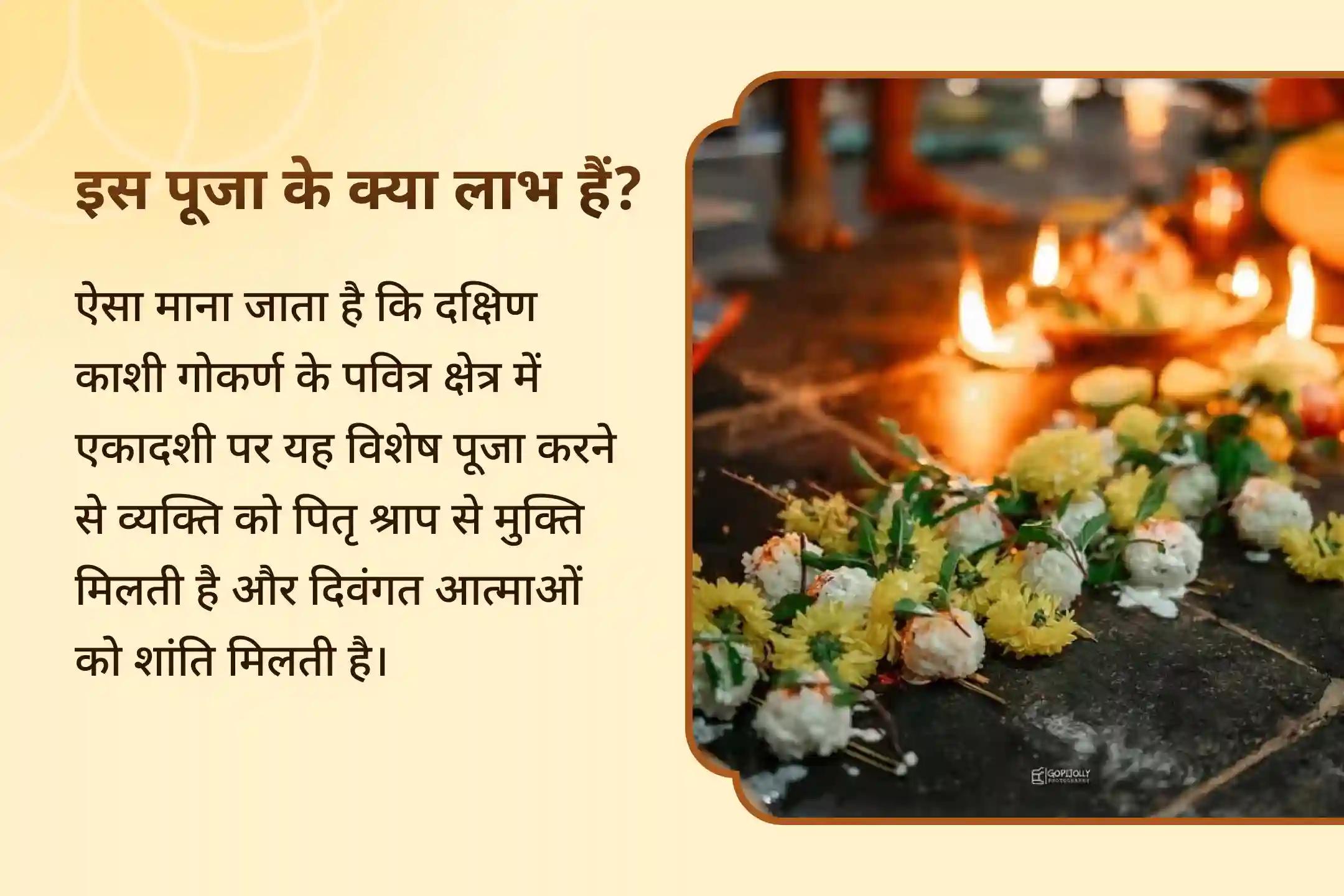पैतृक श्राप से राहत और दिवंगत आत्माओं को शांति प्रदान करने के लिए पितृ दोष निवारण विशेष पूजा नारायण बलि, नाग बलि और 11,000 पितृ आदिपति विष्णु द्वादक्षरी मंत्र जाप