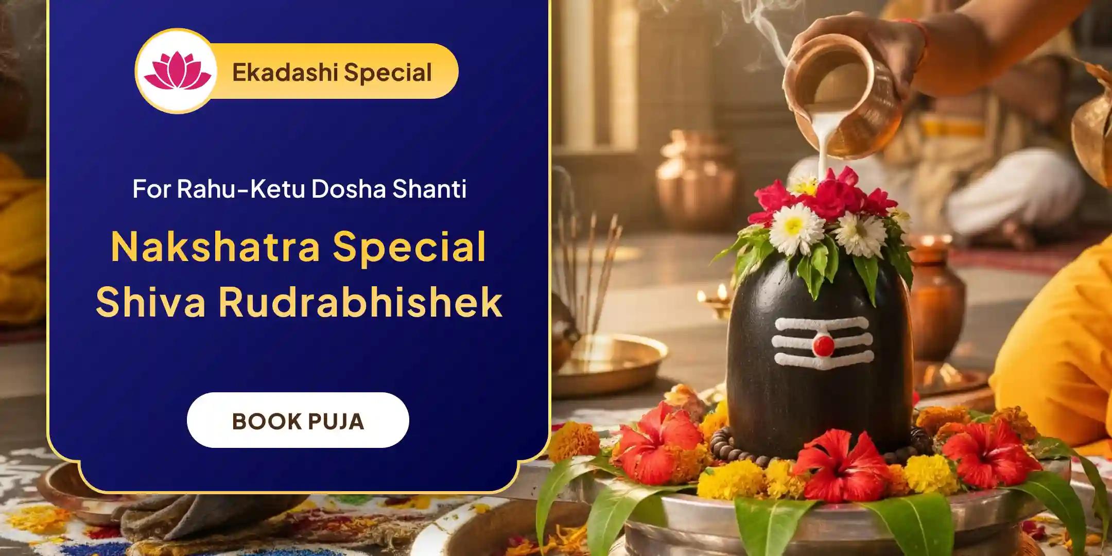 Rahu-Ketu Peeda Shanti Puja and Shiv Rudrabishek