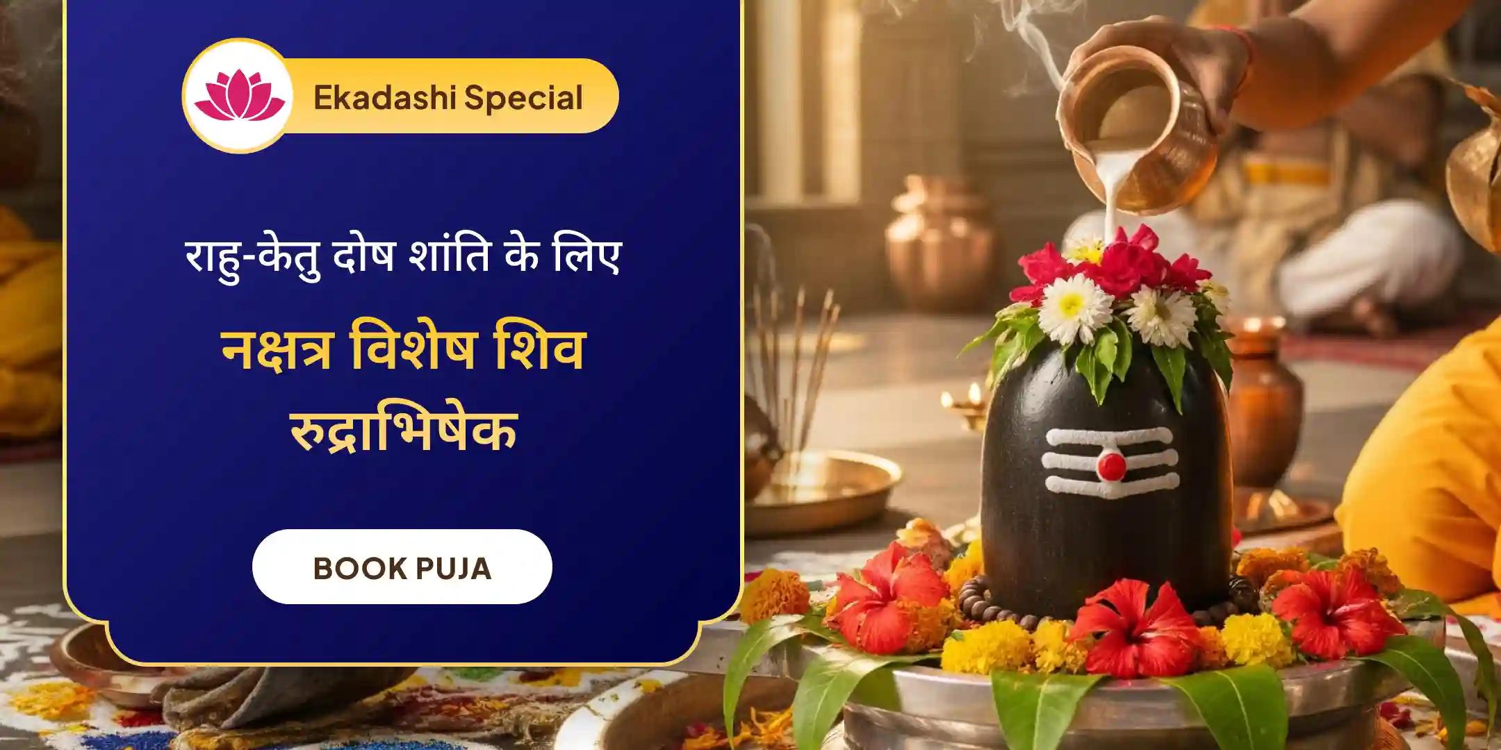 राहु-केतु पीड़ा शांति पूजा और शिव रुद्राभिषेक