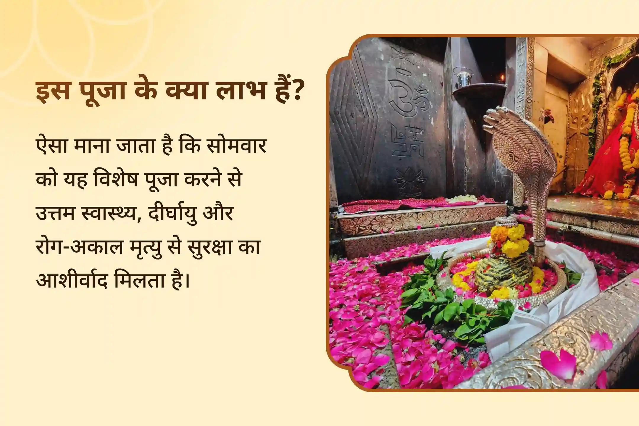  स्वास्थ्य, लंबी उम्र, बीमारी या अकाल मृत्यु से रक्षा का आशीर्वाद ओंकारेश्वर महामृत्युंजय महा अनुष्ठान - बेहतर स्वास्थ्य विशेष ओंकारेश्वर 11 हजार महामृत्युंजय महा अनुष्ठान और पंचामृत रुद्राभिषेक 
