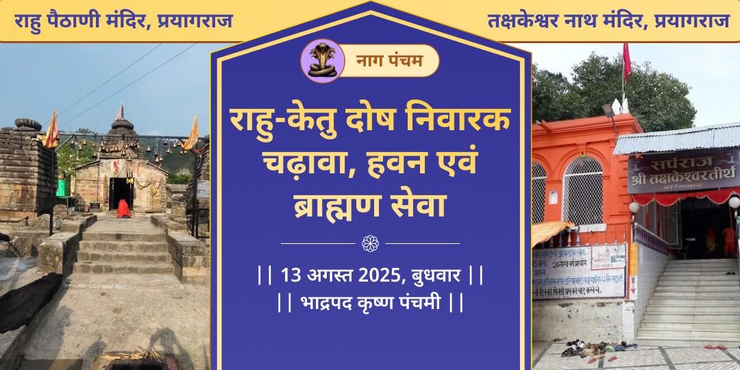 नाग पंचम राहु-केतु दोष निवारक चढ़ावा, हवन एवं ब्राह्मण सेवा