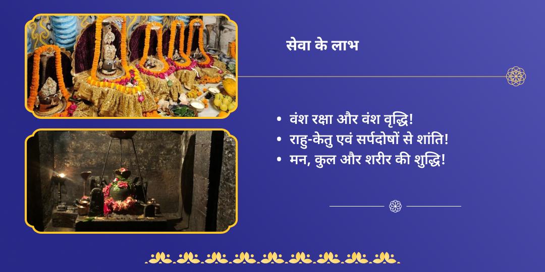 नाग पंचम राहु-केतु दोष निवारक चढ़ावा, हवन एवं ब्राह्मण सेवा