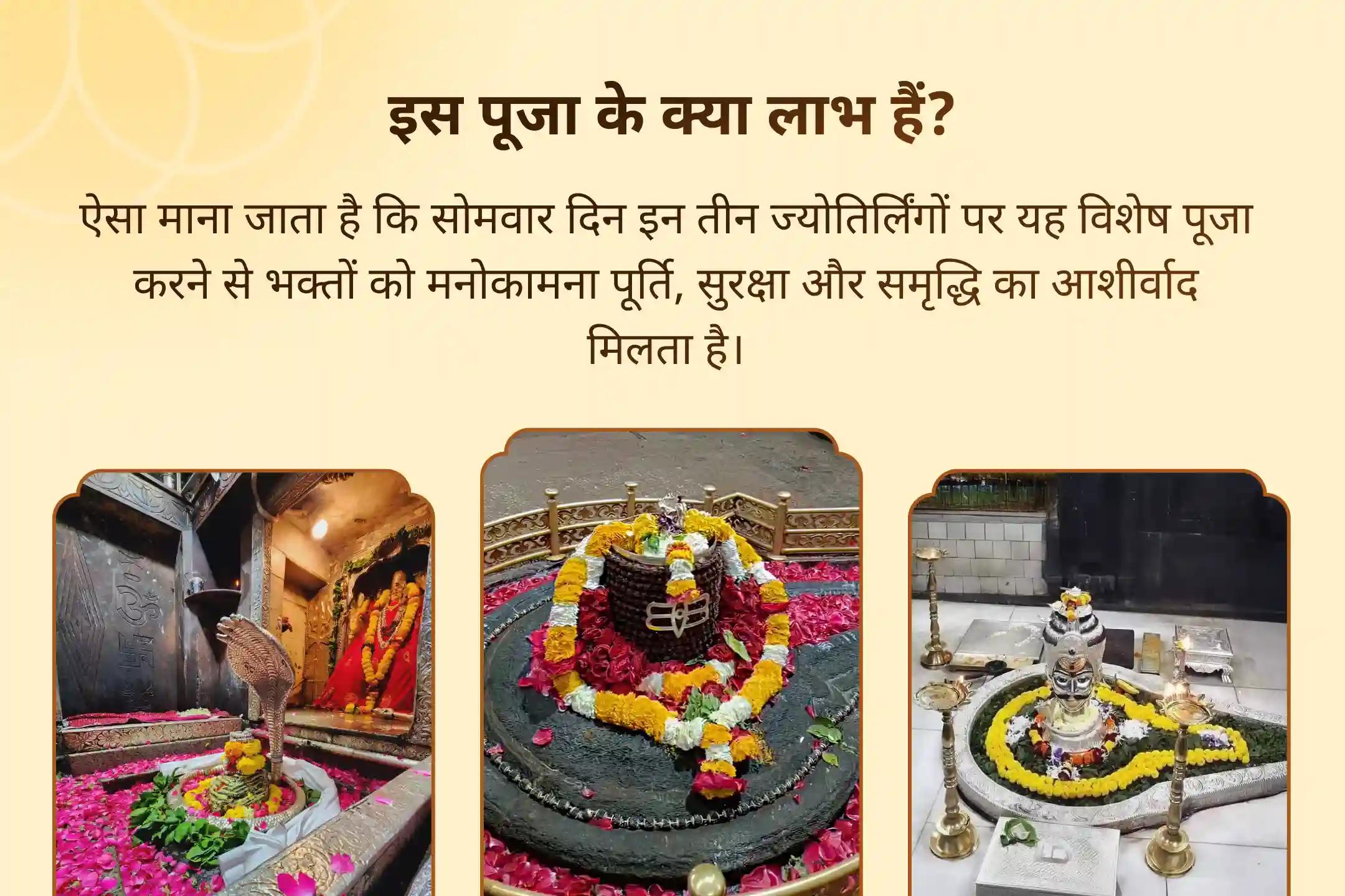 दीर्घायु और बेहतर स्वास्थ्य के लिए आशीर्वाद 3 ज्योतिर्लिंग संयुक्त विशेष 3 - ज्योतिर्लिंग - त्र्यंबकेश्वर, ओंकारेश्वर और घृष्णेश्वर रुद्राभिषेक और रुद्र हवन