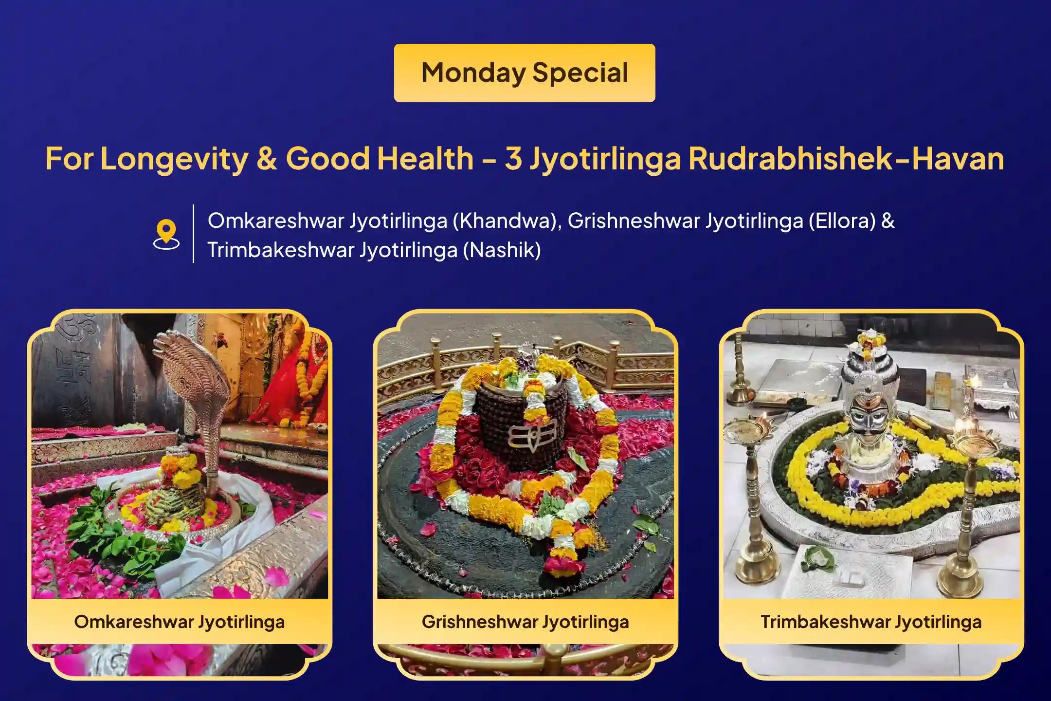3 Jyotirlinga Combo Special 3 -  Jyotirlinga - Trimbakeshwar, Omkareshwar and Ghrishneshwar Rudrabhishek and Rudra Homam Blessings for Longevity and Better Health