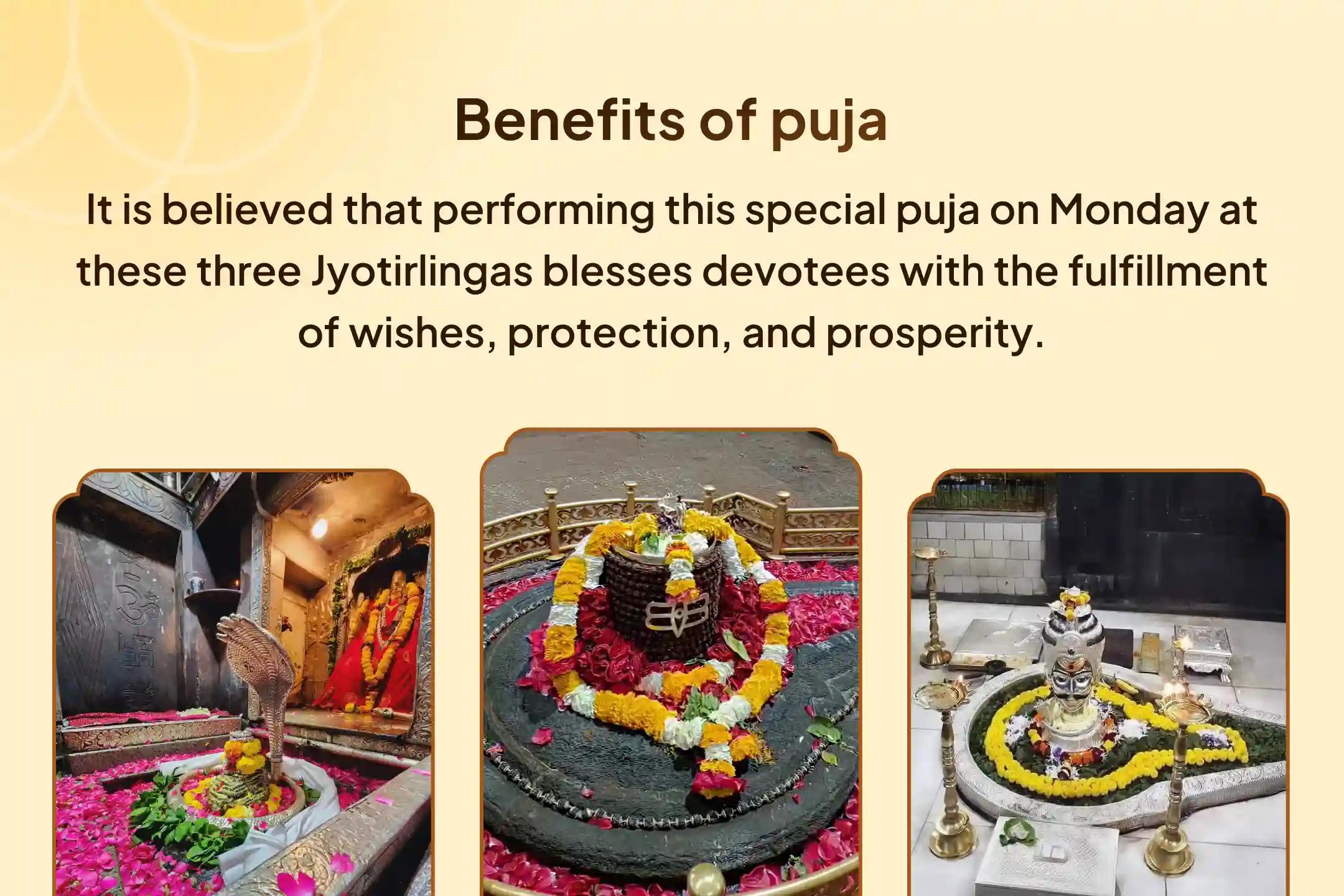 3 Jyotirlinga Combo Special 3 -  Jyotirlinga - Trimbakeshwar, Omkareshwar and Ghrishneshwar Rudrabhishek and Rudra Homam Blessings for Longevity and Better Health