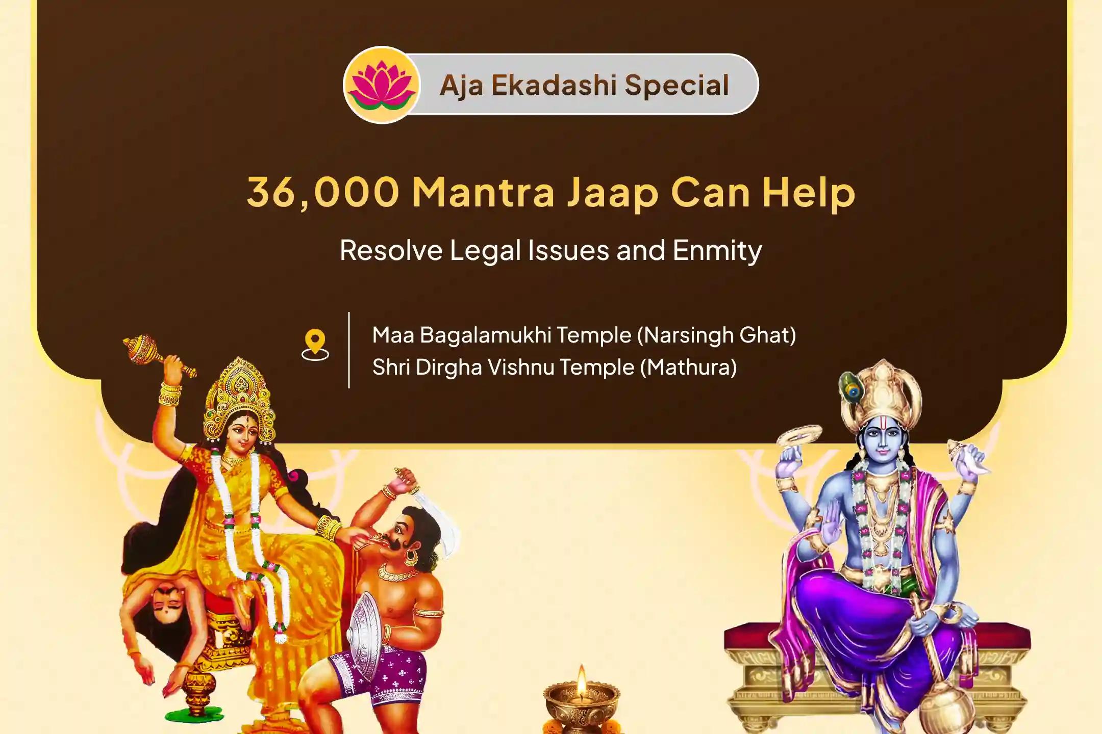Aja Ekadashi Bagalamukhi Special 36,000 Maa Bagalamukhi Mantra Jaap and Narayan Sudarshan Kavacham Havan for Resolving Legal Battles, Ensuring Victory, and Removing Enmity