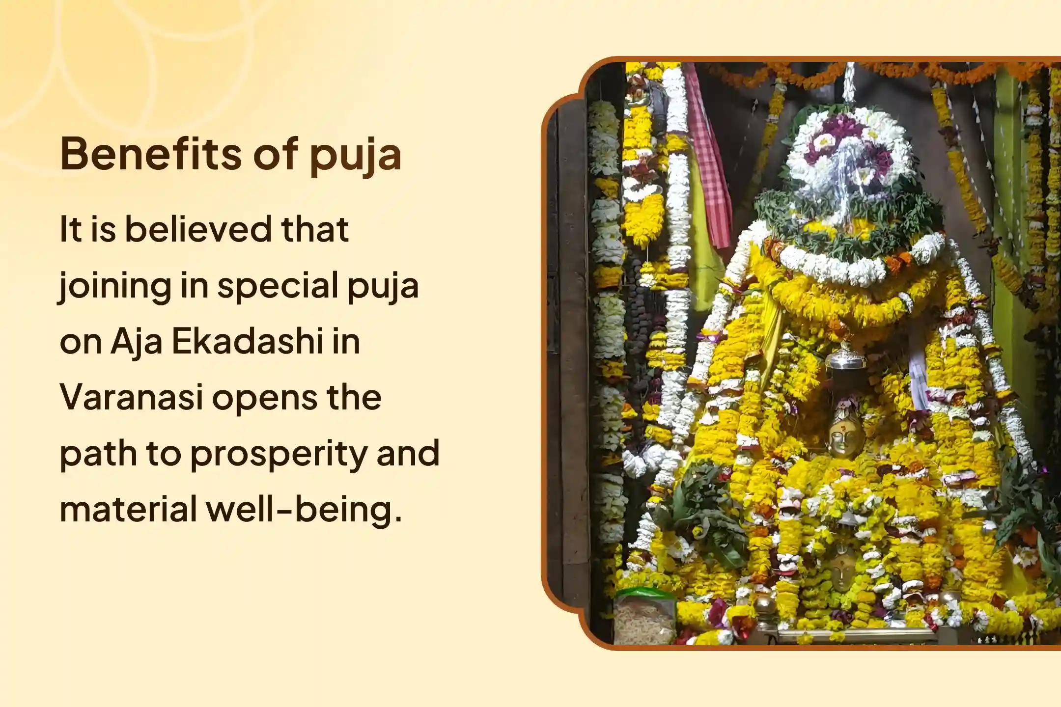 Aja Ekadashi Rahu Dosh Nivaran Special Brihaspati-Rahu Yuti Dosha Nivaran Puja and 18,000 Rahu Mool Mantra Jaap Vishnu's Blessings to Remove Rahu Dosha