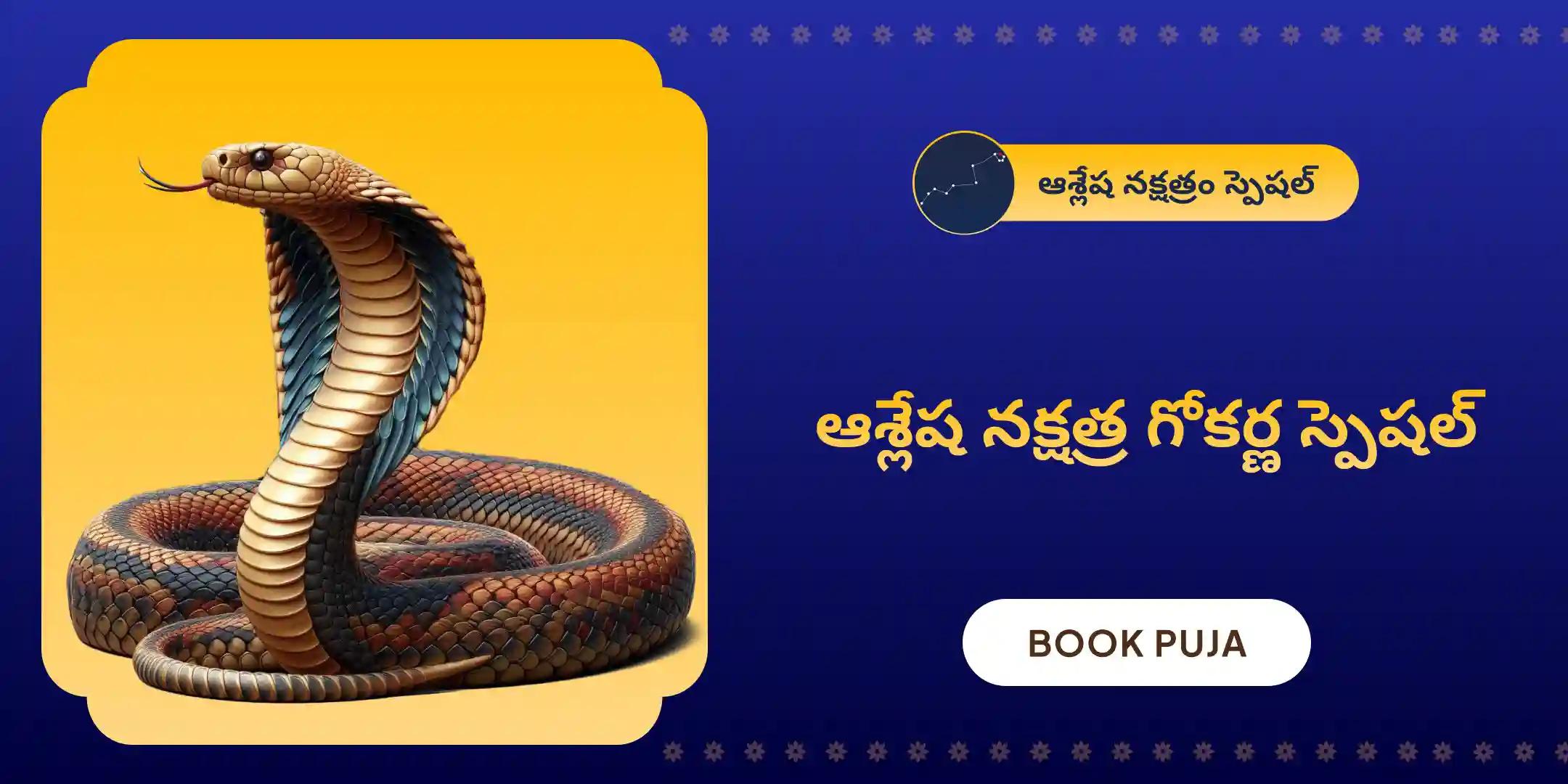ఆశ్లేష నాగబలి పూజ