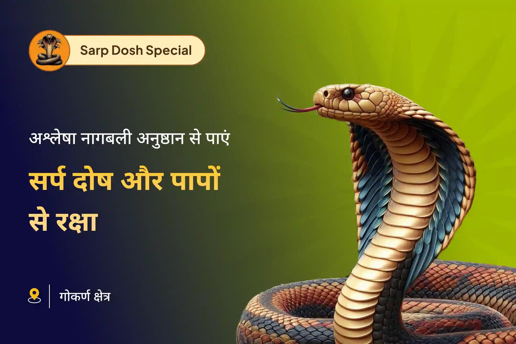 सर्प (नाग) दोष और पिछले पापों के प्रभावों से राहत के लिए अश्लेषा नक्षत्र गोकर्ण विशेष अश्लेषा नागबली पूजा