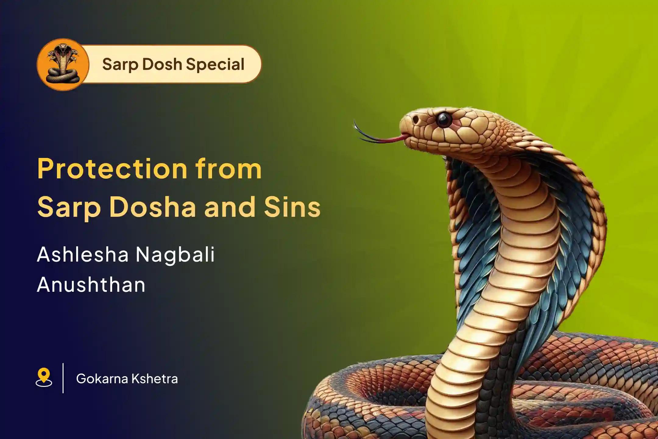 Ashlesha Nakshatra Gokarna Special Ashlesha Naag Bali Puja To Remove Negative Effects of Sarpa (Naga) Dosha and Clean Karmic Sins