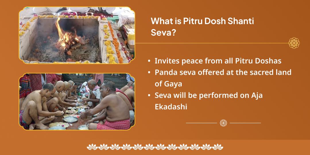 Ekadashi Gaya Pitru Shanti Aahuti & Panda Seva