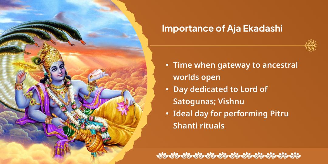 Ekadashi Gaya Pitru Shanti Aahuti & Panda Seva