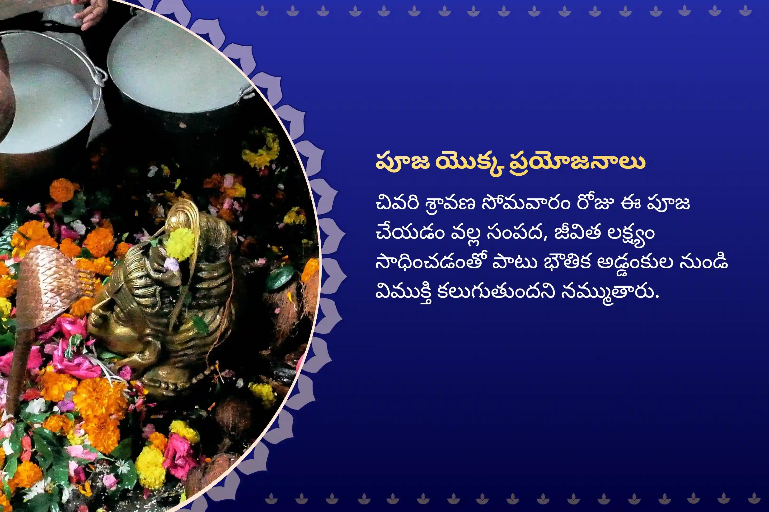 సంపద, జీవిత లక్ష్యం, మరియు భౌతిక అడ్డంకుల నుండి విముక్తికై ఆశీస్సుల కోసం చివరి శ్రావణ సోమవారం త్రియంబకేశ్వర్ జ్యోతిర్లింగ ప్రత్యేక జ్యోతిర్లింగ త్రయంబకేశ్వర రుద్రాభిషేక మహాపూజలో పాల్గొనండి.