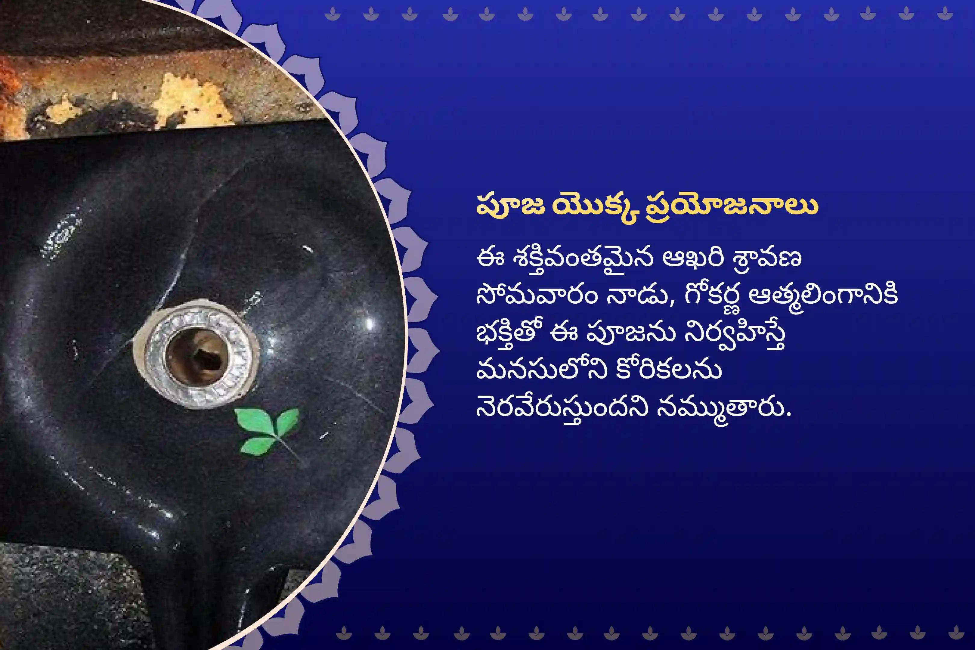 ఆత్మ లింగం క్షేత్రంలో మీ కోరికలను నెరవేర్చుకోవడానికి ఆఖరి శ్రావణ సోమవారం గోకర్ణ ఆత్మలింగం క్షేత్ర ప్రత్యేక రుద్రాభిషేకం మరియు రుద్ర హోమంలో పాల్గొనండి.