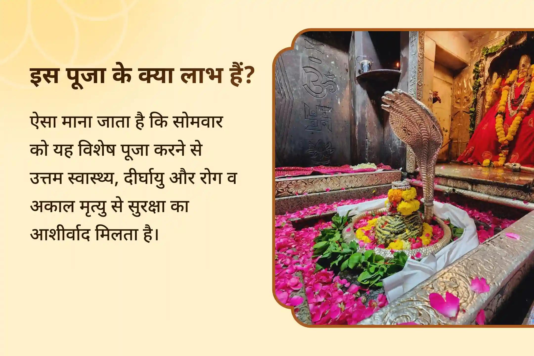 स्वास्थ्य, लंबी उम्र और बीमारी या अकाल मृत्यु से बचाव के लिए बेहतर स्वास्थ्य के लिए ओंकारेश्वर महामृत्युंजय महा अनुष्ठान विशेष ओंकारेश्वर 11,000 महामृत्युंजय महा अनुष्ठान एवं पंचामृत रुद्राभिषेक