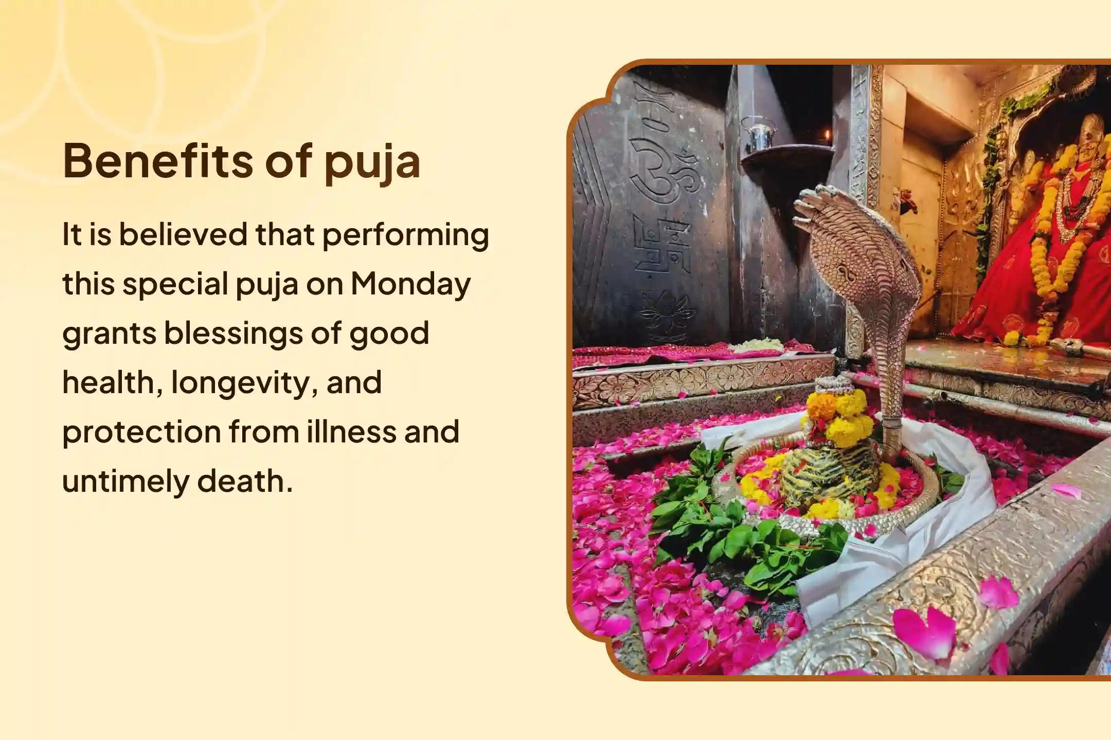 Omkareshwar Mahamritunjay Maha Anushthan Special for Better Health Omkareshwar 11,000 Mahamrityunjaya Maha Anushthan & Panchamrit Rudrabhishek for Healing, Longevity, and Protection From Illness and Untimely Death