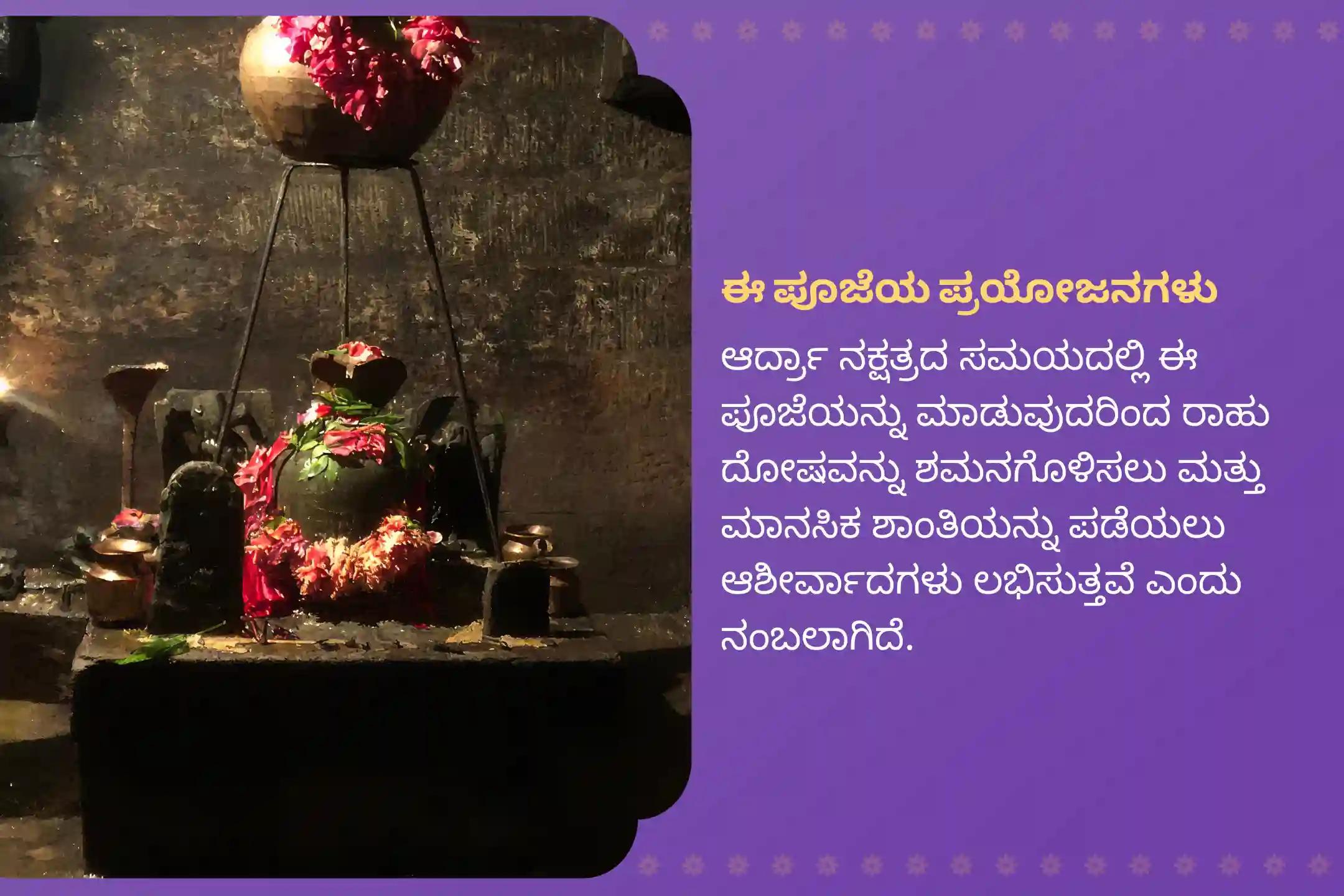 ಮಾನಸಿಕ ಸ್ಥಿರತೆ ಮತ್ತು ಯಶಸ್ಸಿನ ಆಶೀರ್ವಾದಕ್ಕಾಗಿ ರಾಹು ನಕ್ಷತ್ರ ವಿಶೇಷ ರಾಹು ಶಾಂತಿ ಜಪ ಮತ್ತು ಹೋಮದಲ್ಲಿ ಭಾಗವಹಿಸಿ.