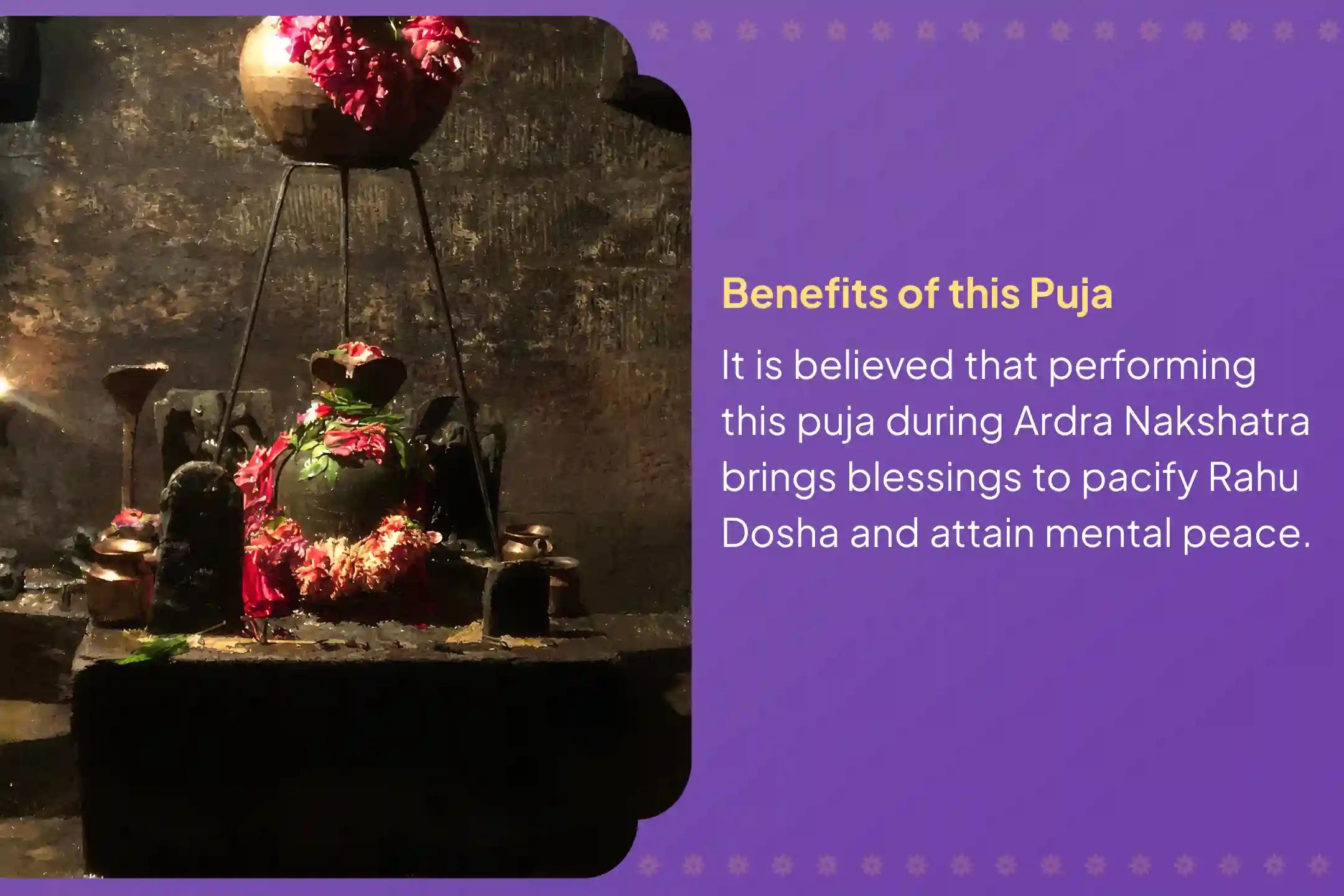 Participate in the Rahu Nakshatra Special Rahu Shanti Jaap and Homam for Blessings of Mental Stability and Success.