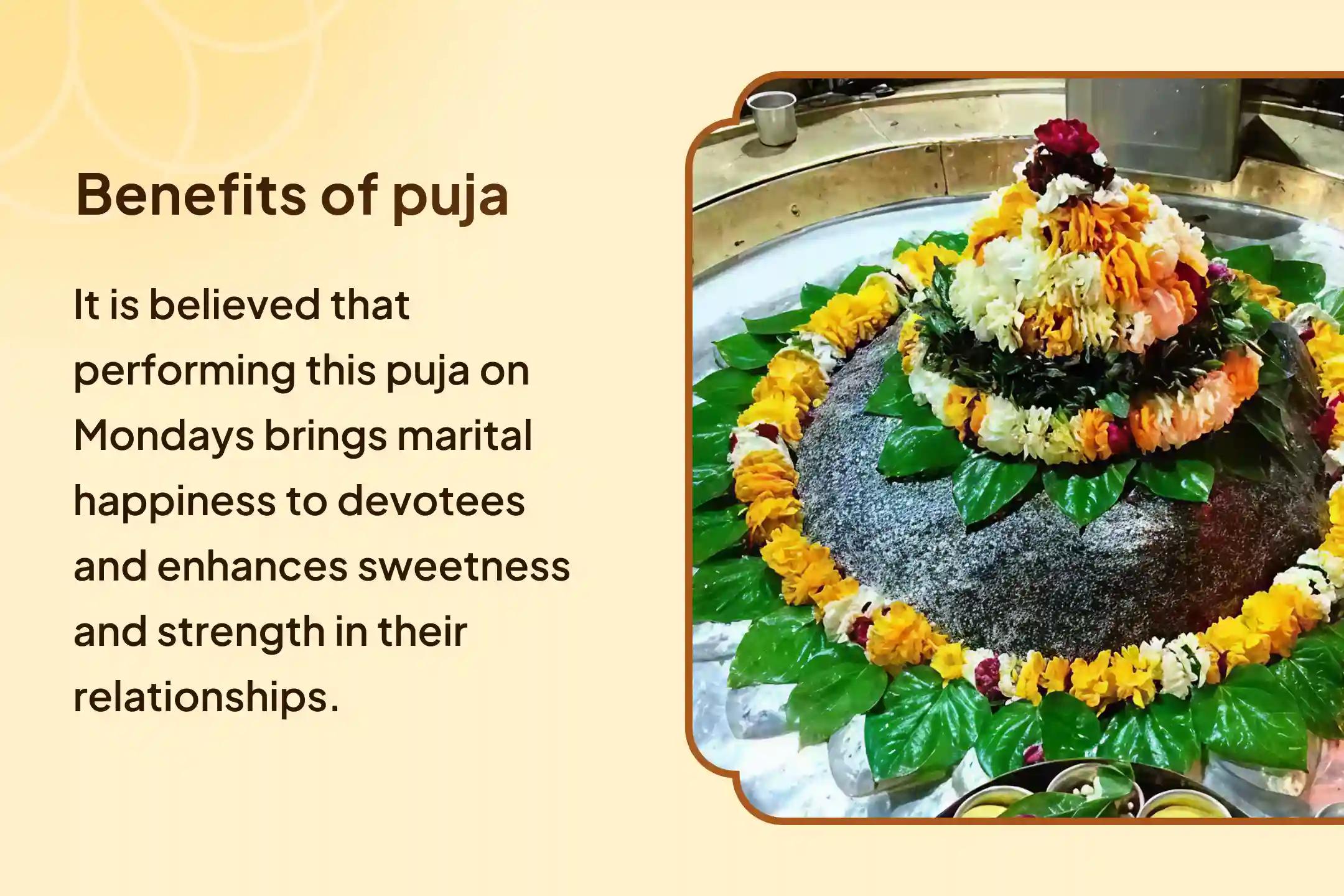 Monday Sacred Shiva-Shakti Union Divine Love Union Puja and Relationship Healing Ritual for Strengthening Relationships and Heal Past Wounds