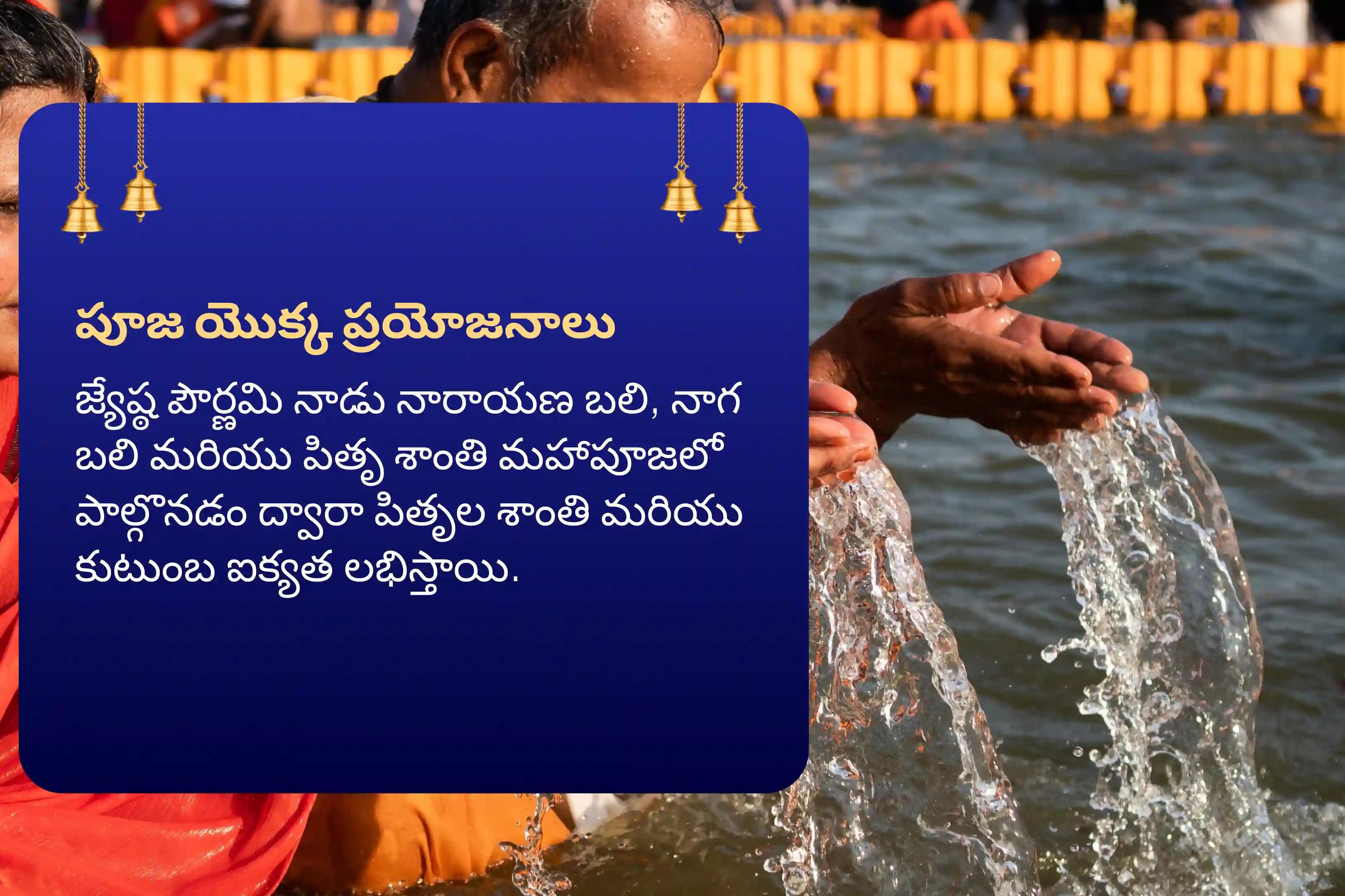 మీ పితృల శాంతి కోసం శ్రావణ అమావాస్య పితృ దోష శాంతి గంగా ఘాట్ ప్రత్యేక పూజ నారాయణ బలి, నాగ బలి మరియు పితృ శాంతి మహాపూజ లో పాల్గొనండి.​