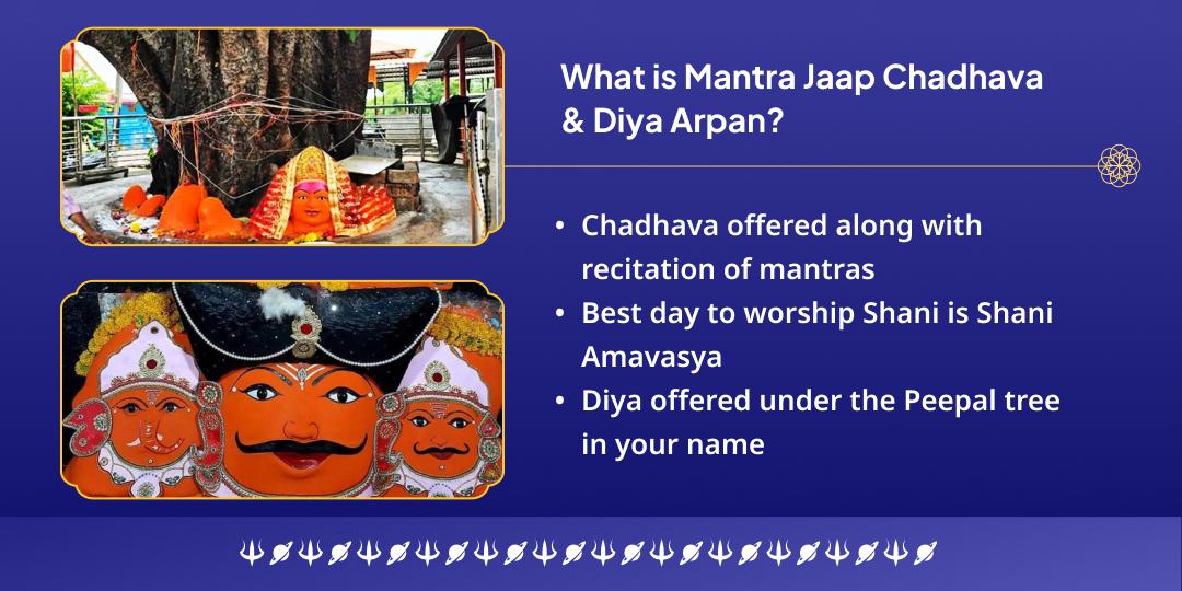 Shani Amavasya Mantra Jaap Chadhava & Peepal Ped Diya Arpan