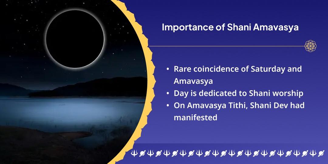 Final Shani Amavasya of 2025 Shani Peeda Shanti Brahmin Seva