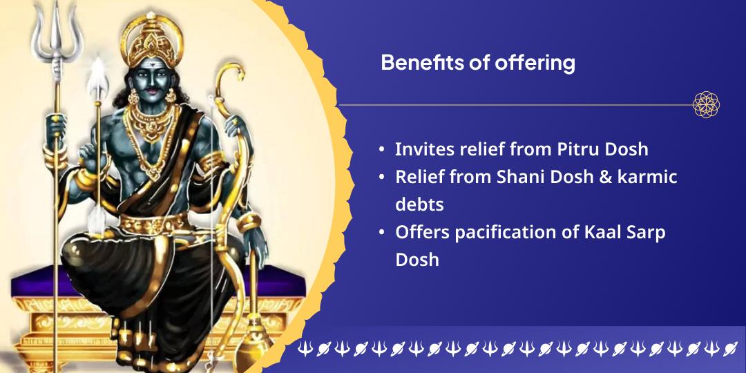Shani Amavasya Shani, Rahu & Shiv Chadhava