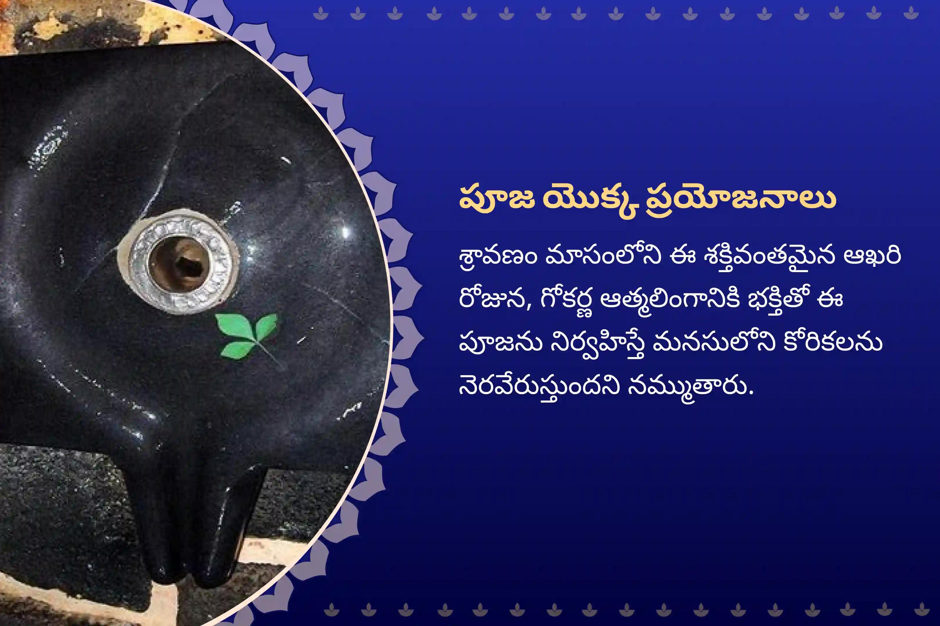 ఆత్మ లింగం క్షేత్రంలో మీ కోరికలను నెరవేర్చుకోవడానికి శ్రావణ మాసం ఆఖరి రోజు గోకర్ణ ప్రత్యేక రుద్రాభిషేకం మరియు రుద్ర హోమంలో పాల్గొనండి