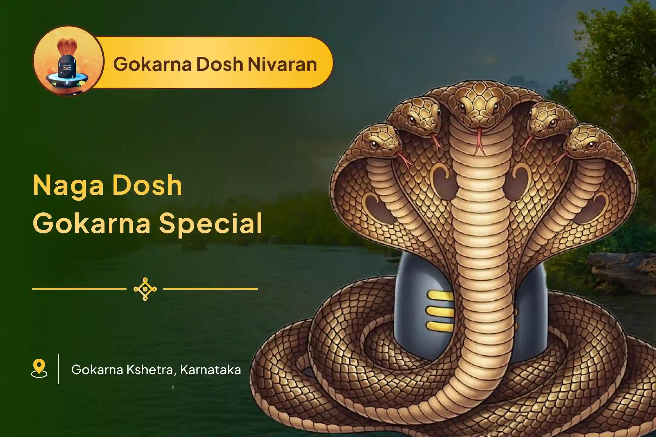 Participate in the Naga Dosh Gokarna Special Naga Dosh Nivaran Puja for those having marriage delays, child issues, and ancestral troubles.