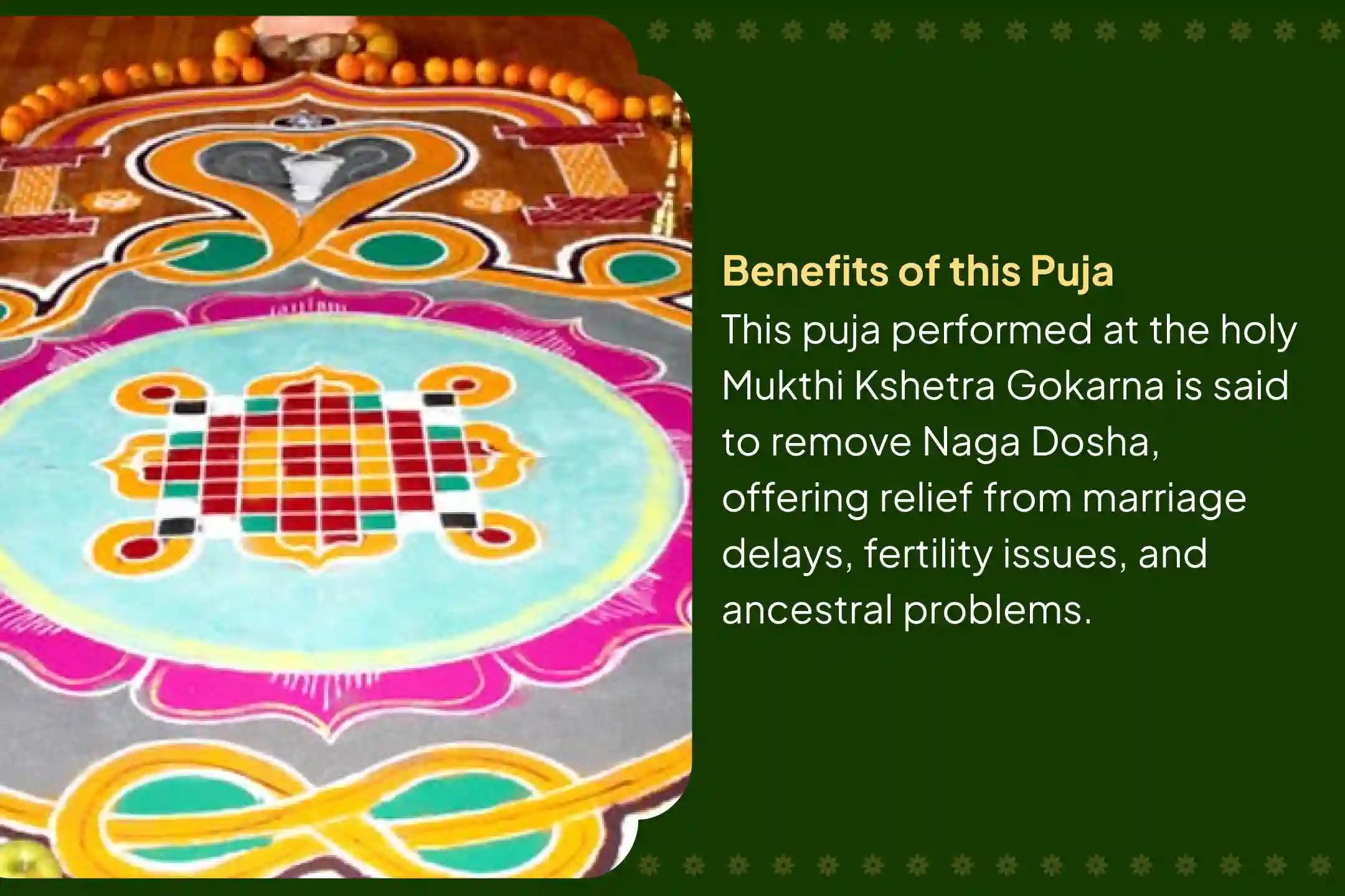 Participate in the Naga Dosh Gokarna Special Naga Dosh Nivaran Puja for those having marriage delays, child issues, and ancestral troubles.