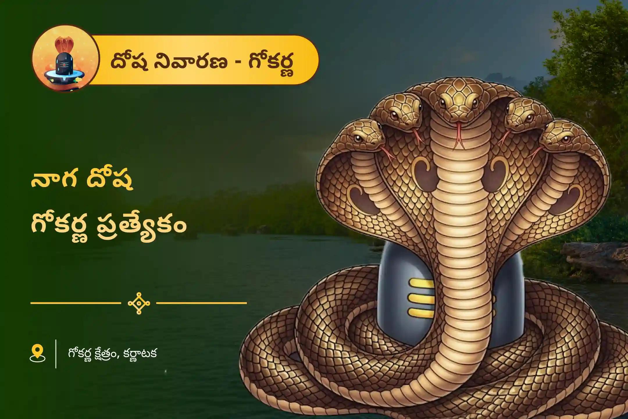 వివాహ జాప్యాలు, సంతాన సమస్యలు మరియు పితృ సమస్యలతో బాధపడేవారికి నాగ దోష గోకర్ణ ప్రత్యేక నాగ దోష నివారణ పూజలో పాల్గొనండి.