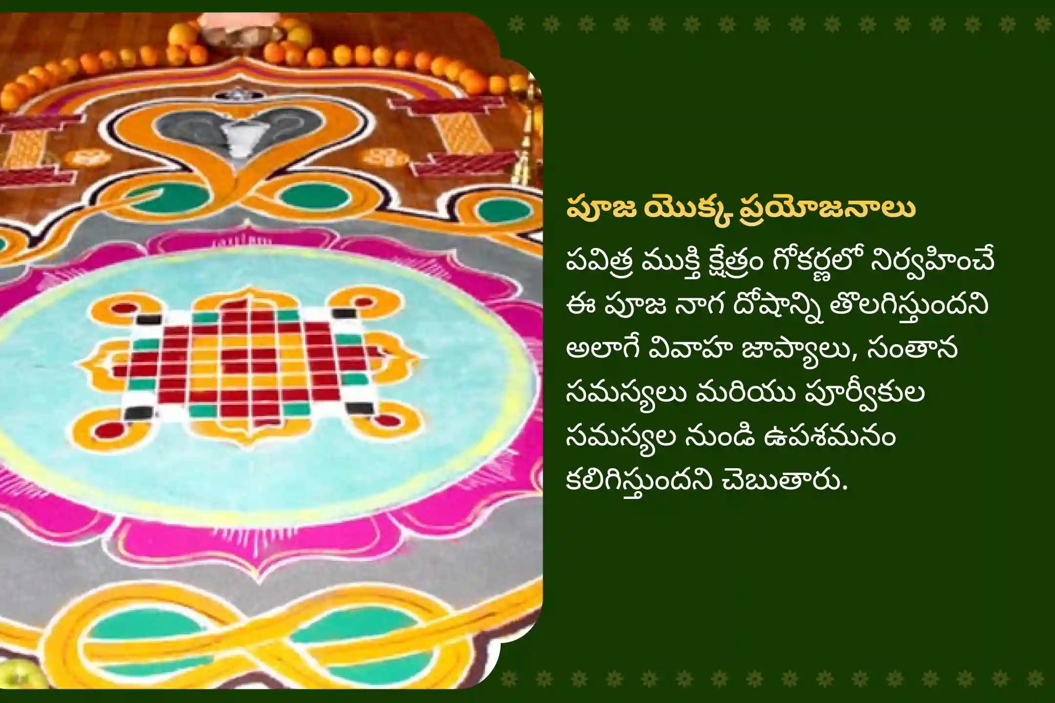 వివాహ జాప్యాలు, సంతాన సమస్యలు మరియు పితృ సమస్యలతో బాధపడేవారికి నాగ దోష గోకర్ణ ప్రత్యేక నాగ దోష నివారణ పూజలో పాల్గొనండి.
