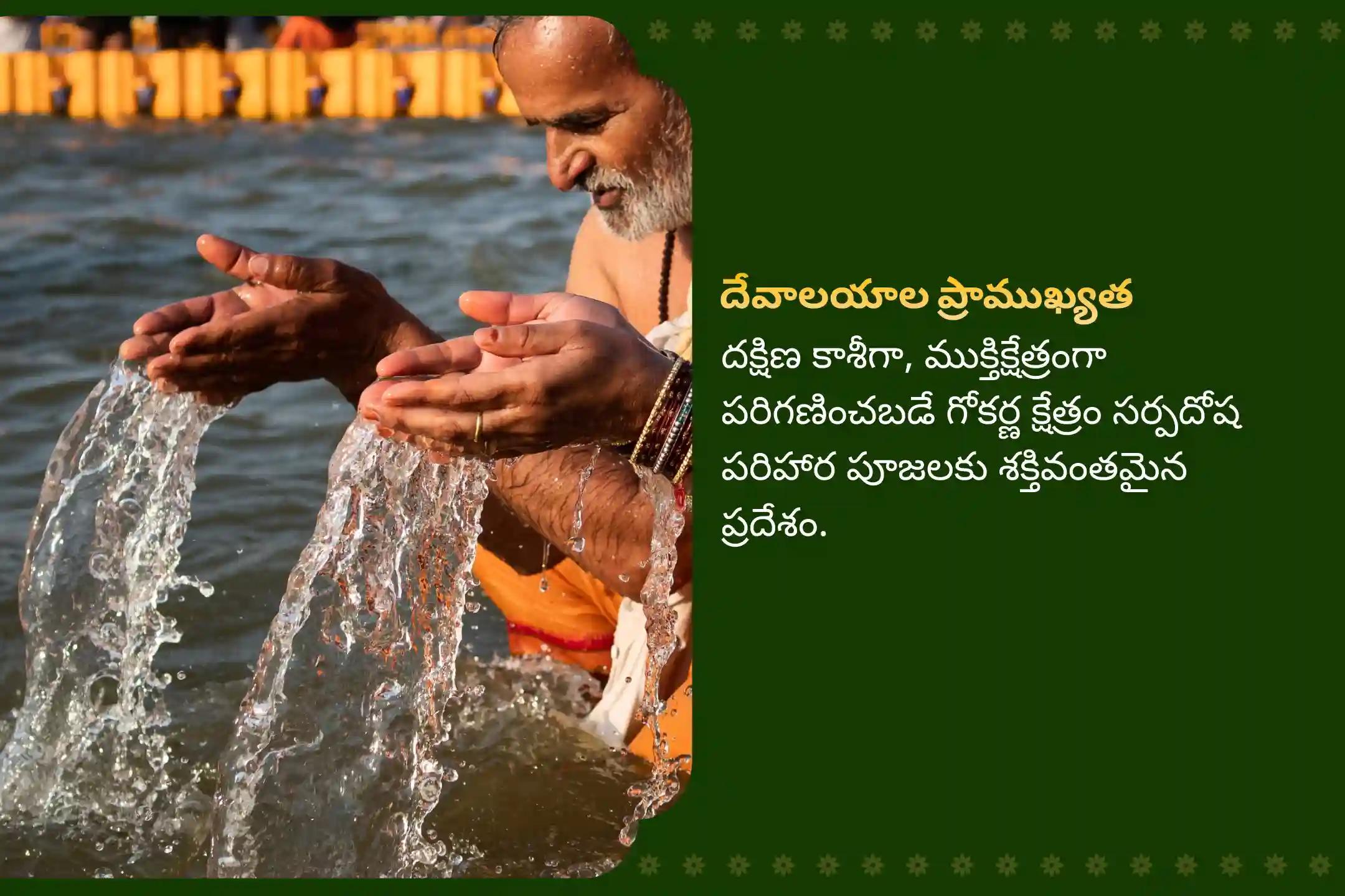 వివాహ జాప్యాలు, సంతాన సమస్యలు మరియు పితృ సమస్యలతో బాధపడేవారికి నాగ దోష గోకర్ణ ప్రత్యేక నాగ దోష నివారణ పూజలో పాల్గొనండి.