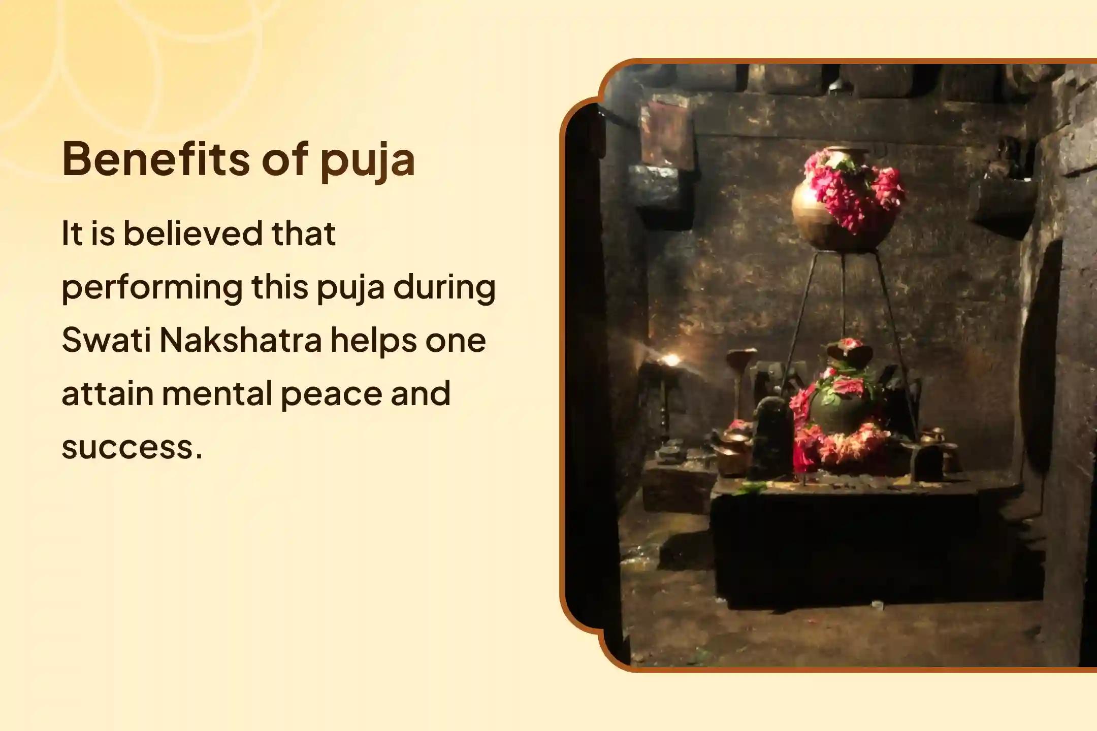 Nakshatra of Rahu Special Rahu Shanti Jaap and Havan for Blessings of Mental Stability and Success