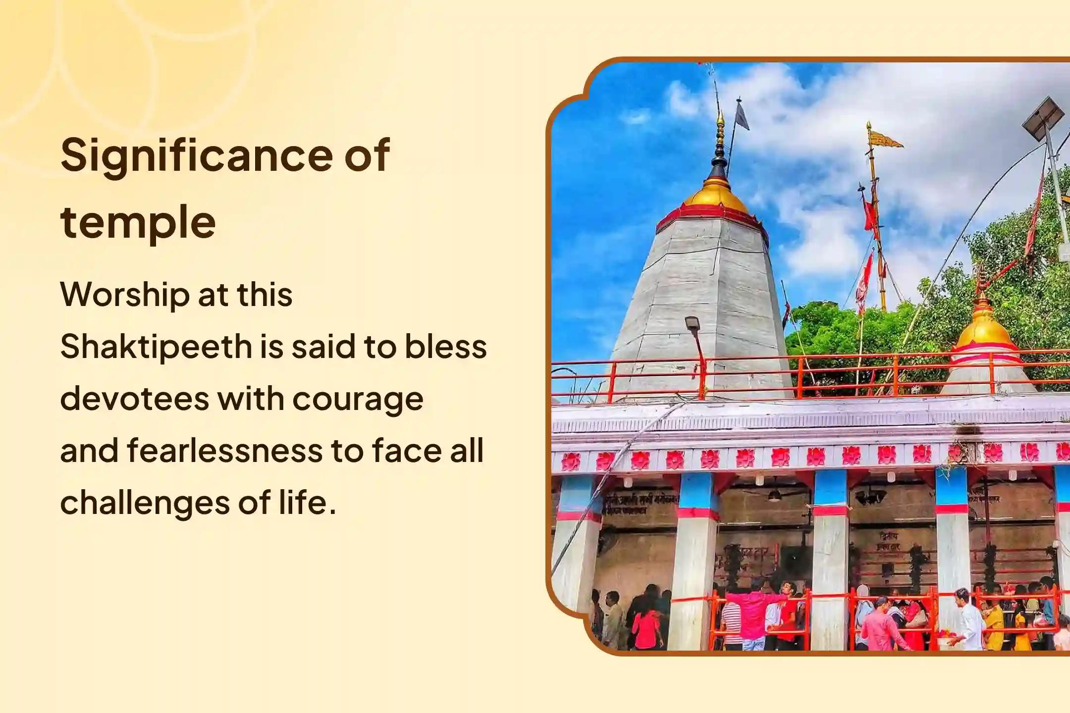 Sarvashakti Vindhyavasini Friday Special Vindhyavasini Devi Kalash Sthapana Kali Havan and Kanya Bhojan For Blessings of Supreme Protection from Negativity and Evil Forces