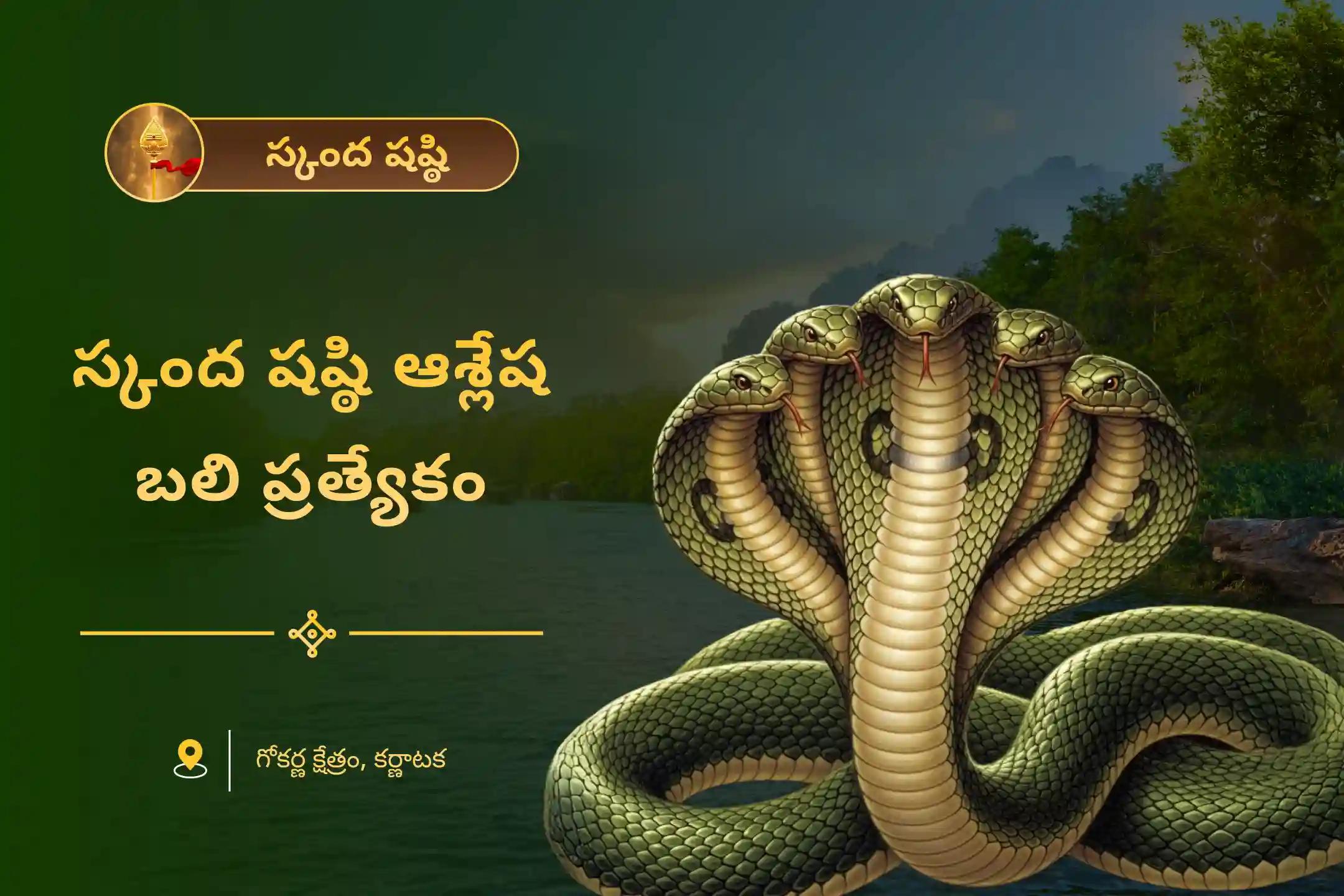 సర్ప (నాగ) దోషం యొక్క దుష్ప్రభావాలను తొలగించి, కర్మ పాపాలను ప్రక్షాళన చేసుకోవడం కొరకు స్కంద షష్ఠి ఆశ్లేష బలి ప్రత్యేక ఆశ్లేష నాగబలి పూజలో పాల్గొనండి.
