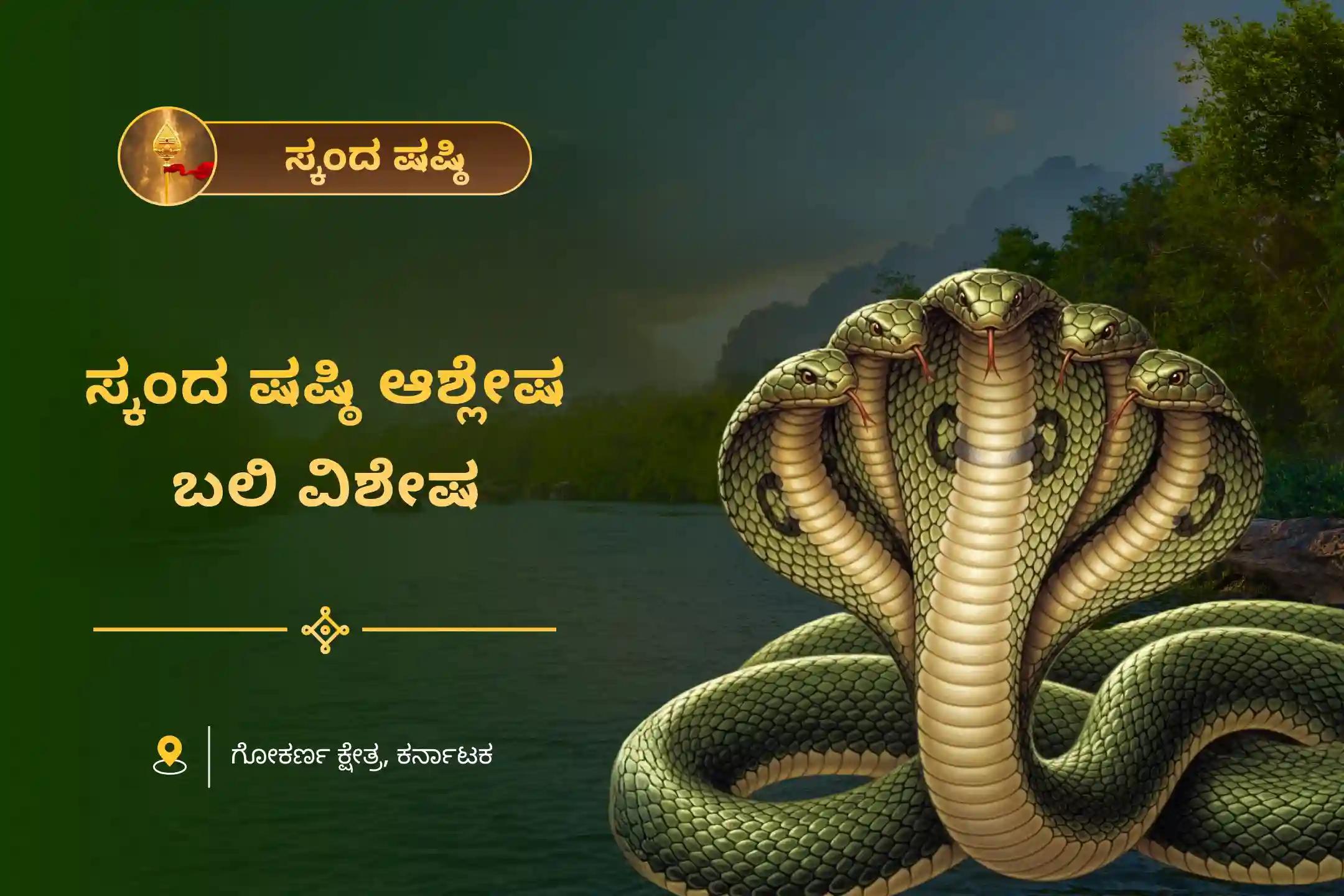 ಸರ್ಪ (ನಾಗ) ದೋಷದ ದುಷ್ಪರಿಣಾಮಗಳನ್ನು ನಿವಾರಿಸಲು ಮತ್ತು ಕರ್ಮದ ಪಾಪಗಳನ್ನು ಶುದ್ಧೀಕರಿಸಲು ಸ್ಕಂದ ಷಷ್ಠಿ ಆಶ್ಲೇಷಾ ಬಲಿ ವಿಶೇಷ ಆಶ್ಲೇಷಾ ನಾಗ ಬಲಿ ಪೂಜೆಯಲ್ಲಿ ಭಾಗವಹಿಸಿ.