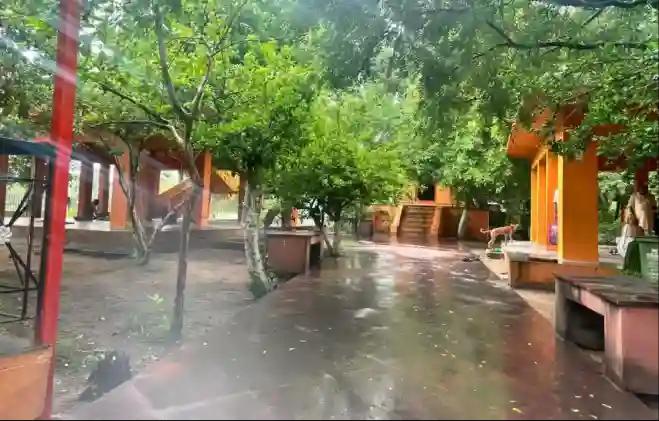 धर्मारण्य वेदी, गया, बिहार