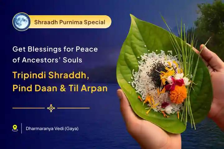 Purnima and Gaya Pitru Tarpan Combo Tripindi Shradh, Pind Daan and Til Tarpanam for resolving ancestral karma and bringing peace to ancestors' souls