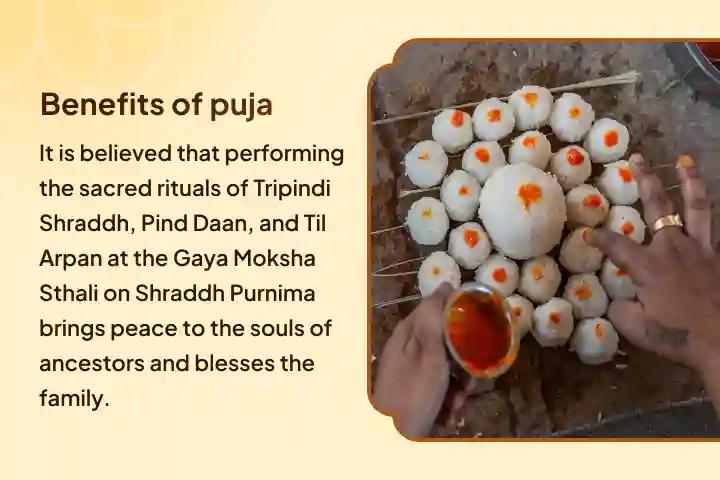 Purnima and Gaya Pitru Tarpan Combo Tripindi Shradh, Pind Daan and Til Tarpanam for resolving ancestral karma and bringing peace to ancestors' souls