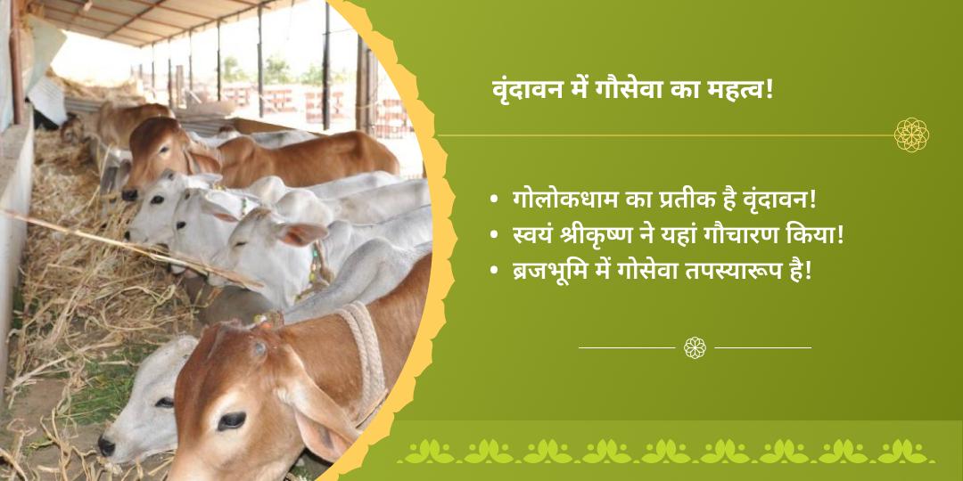 राधाष्टमी कृष्ण नगरी वृंदावन गौ सेवा