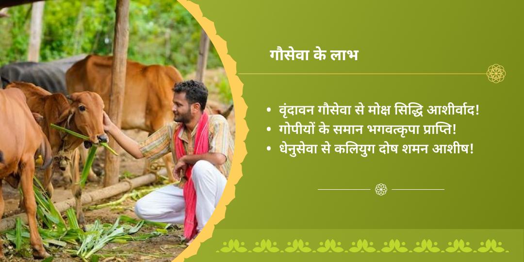 राधाष्टमी कृष्ण नगरी वृंदावन गौ सेवा