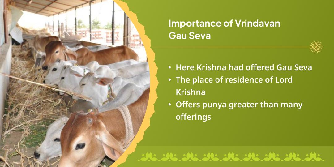 Radhastami Krishna Nagari Vrindavan Gau Seva