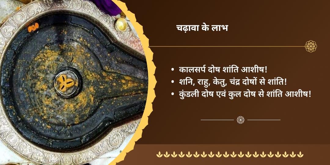राहु नक्षत्र कालसर्प दोष शांति त्र्यंबकेश्वर ज्योतिर्लिंग चढ़ावा